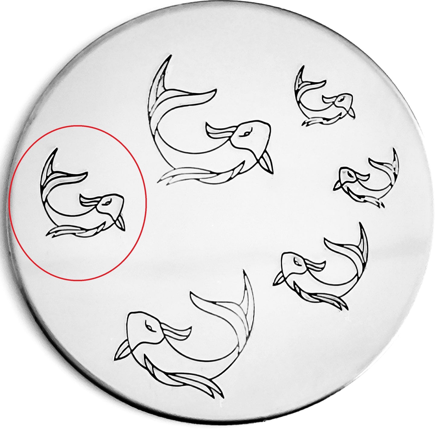Koi
