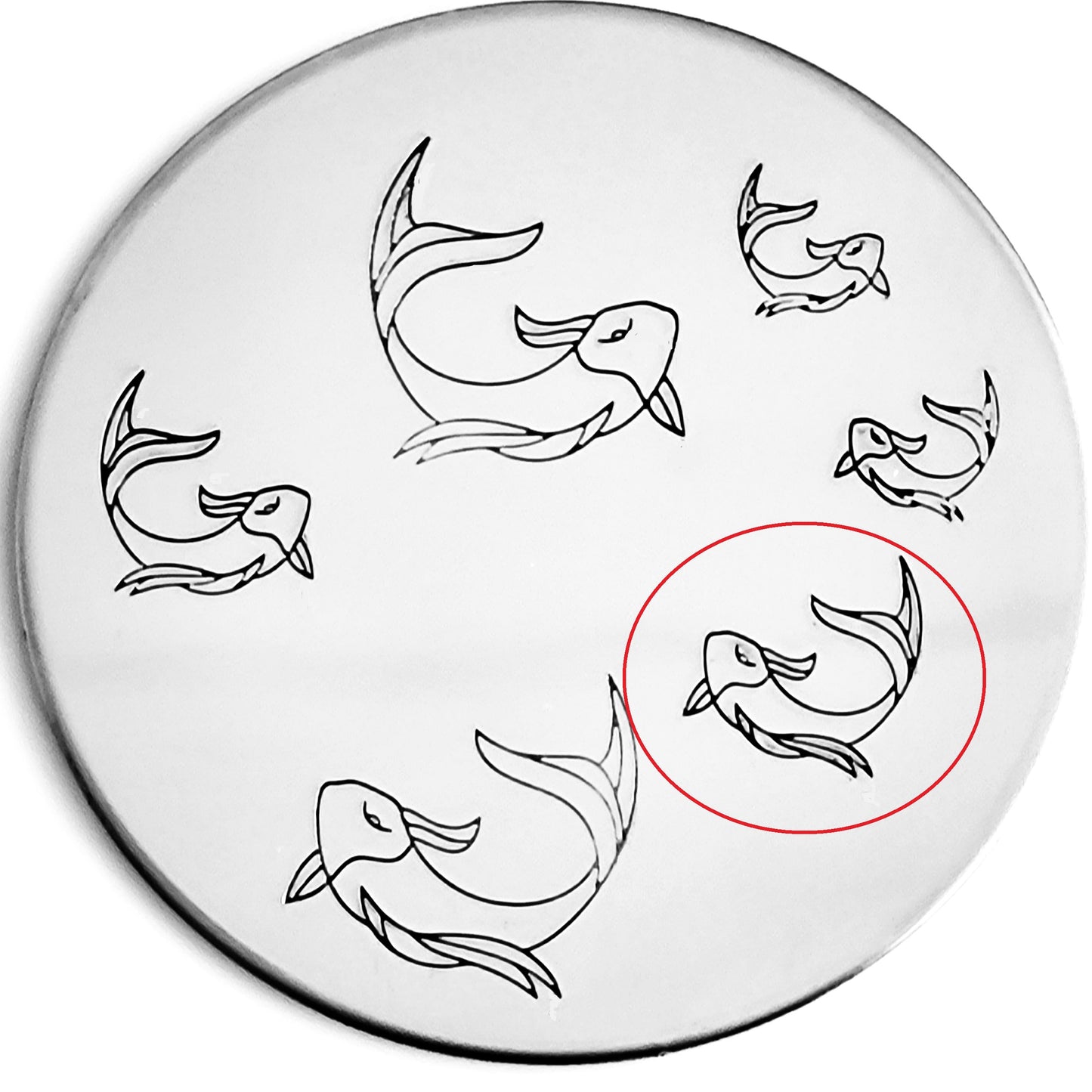 Koi