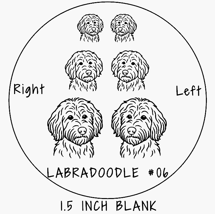 X2631-LABRADOODLE #06-8-R