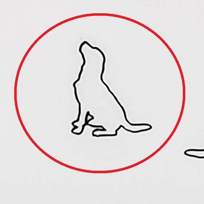 Labrador #02