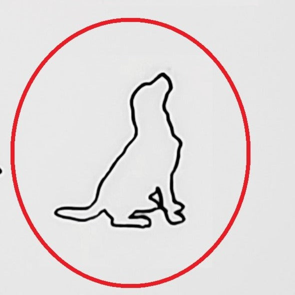 Labrador #02
