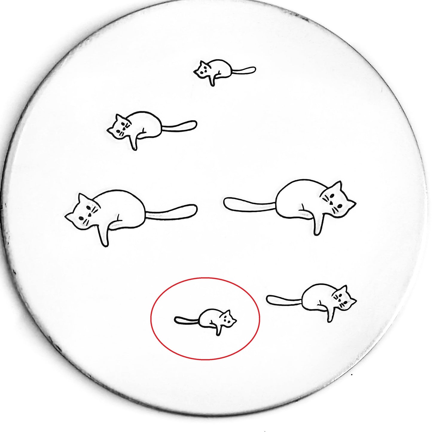 Lazy Cat #01