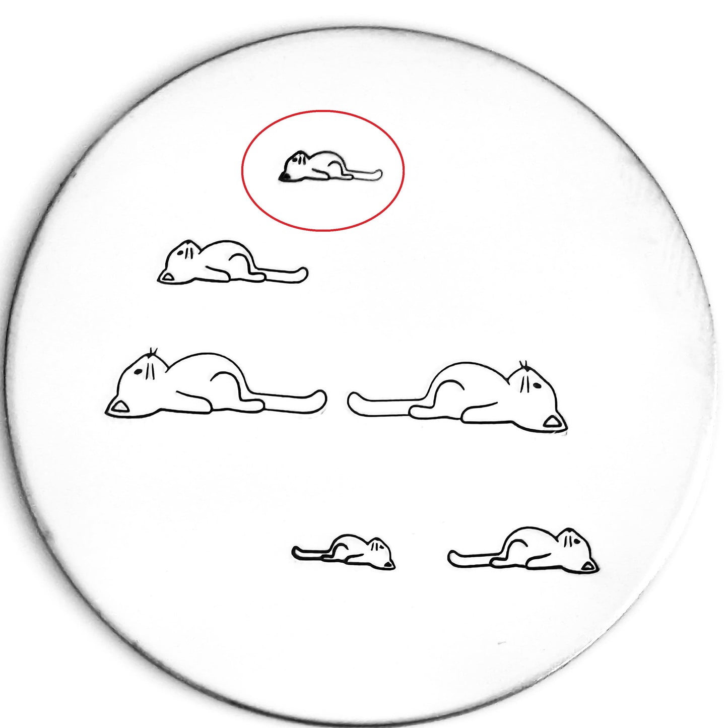 Lazy Cat #02