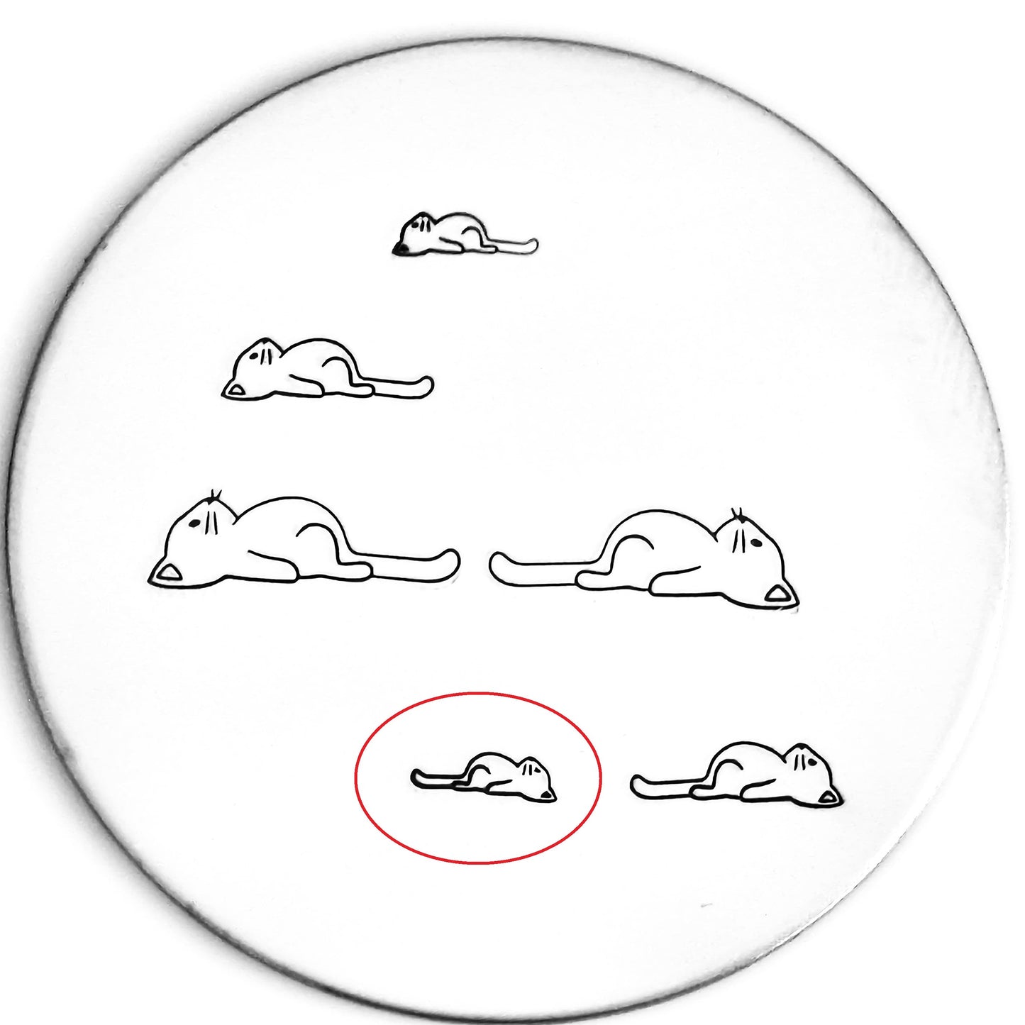 Lazy Cat #02