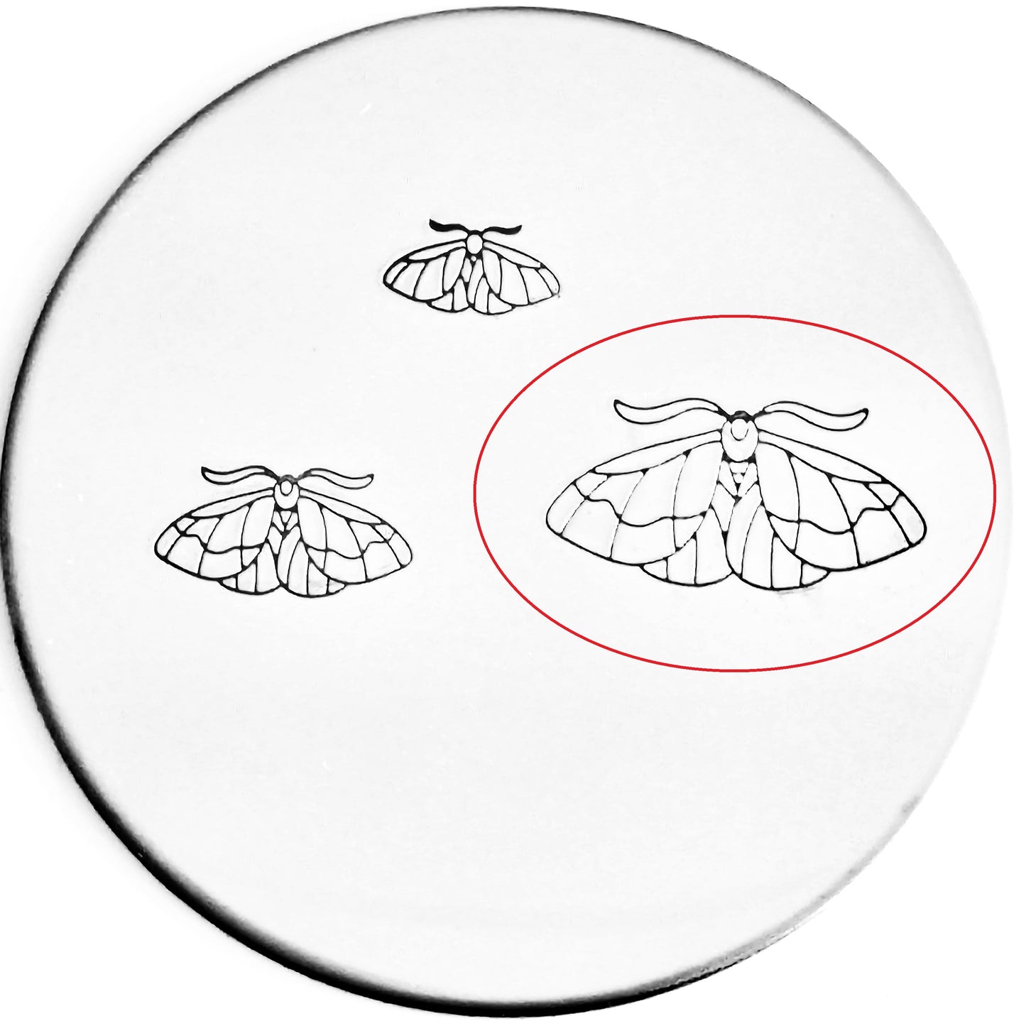 Moth #02