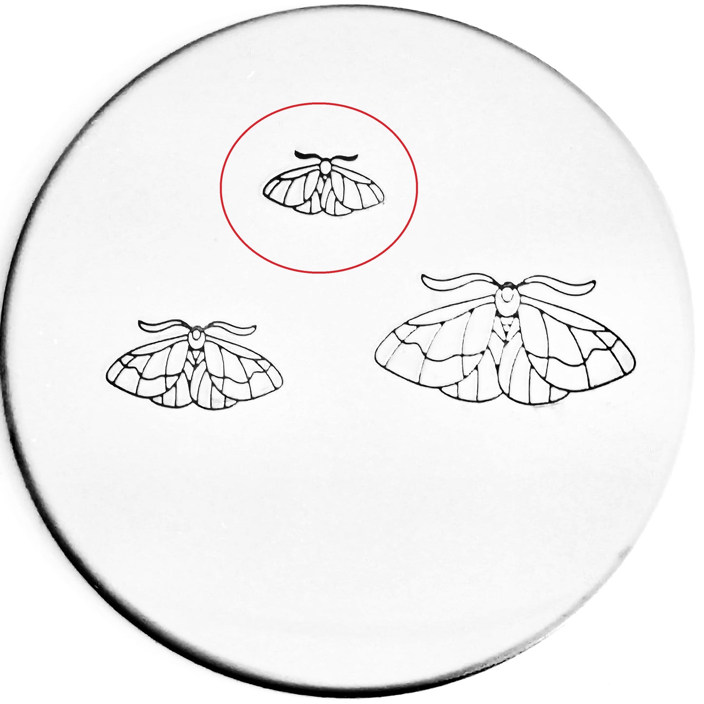 Moth #02