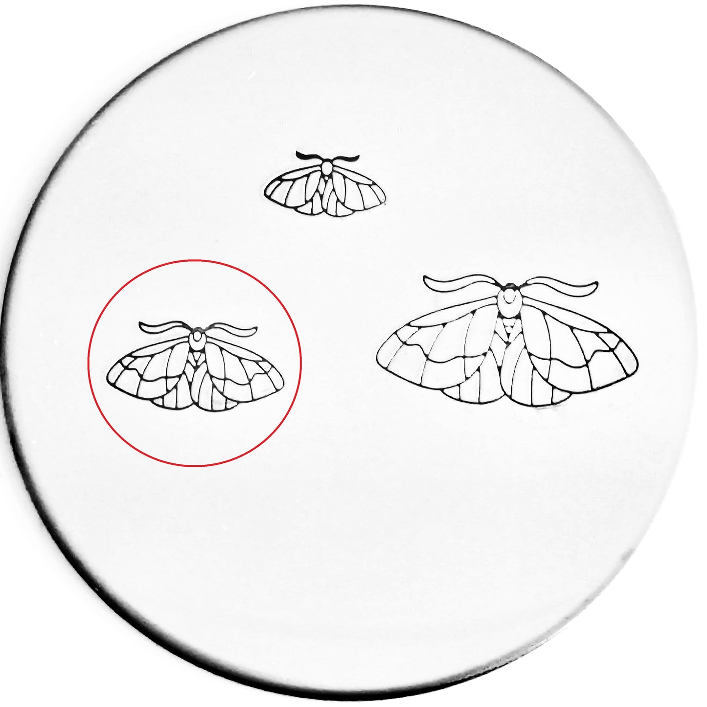 Moth #02
