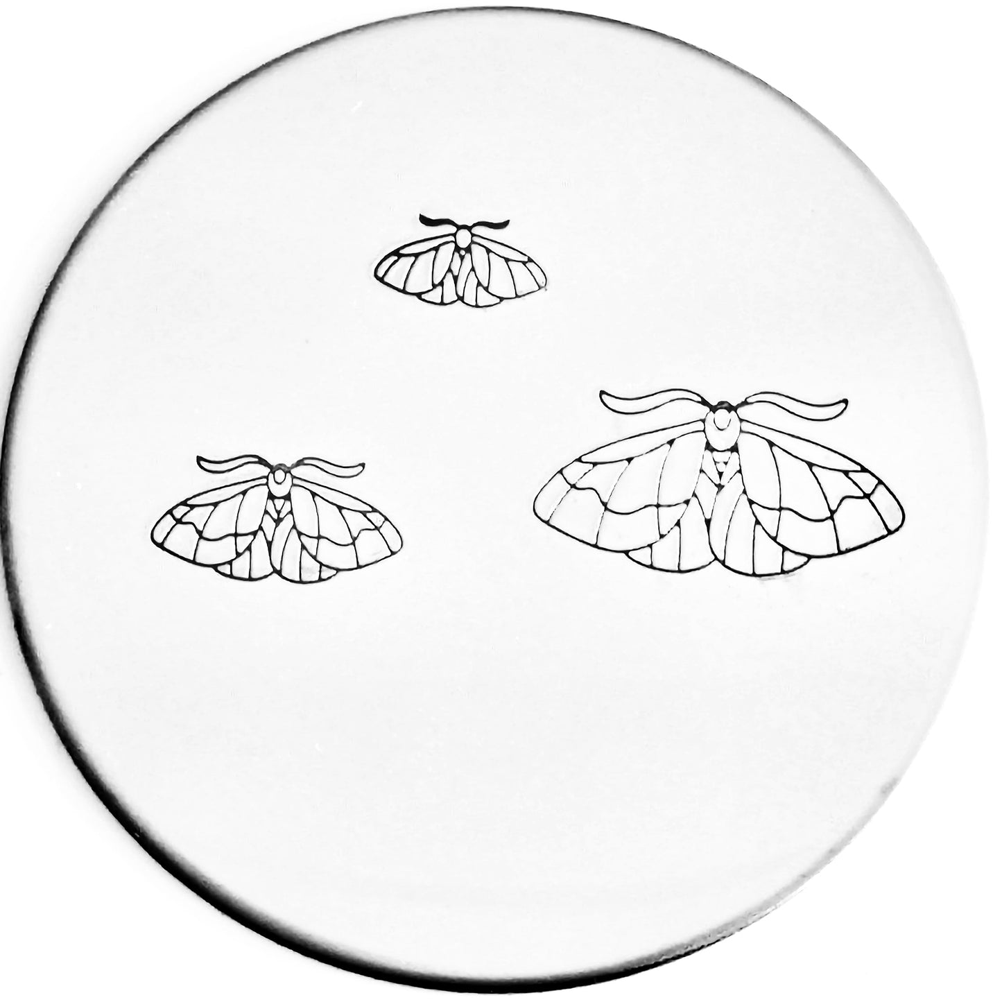 Moth #02