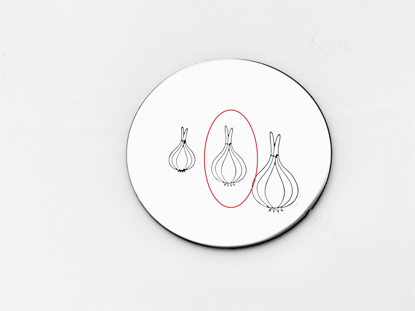 Onion