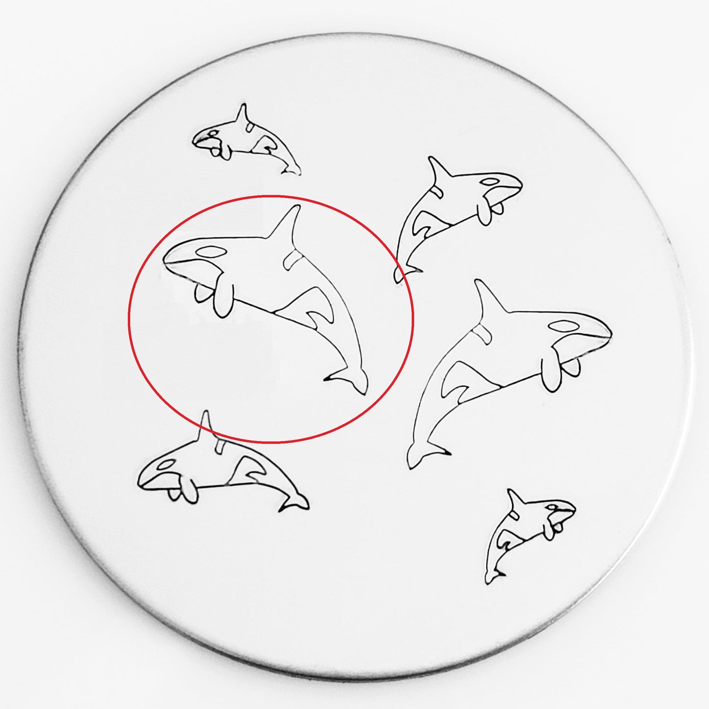 Orca