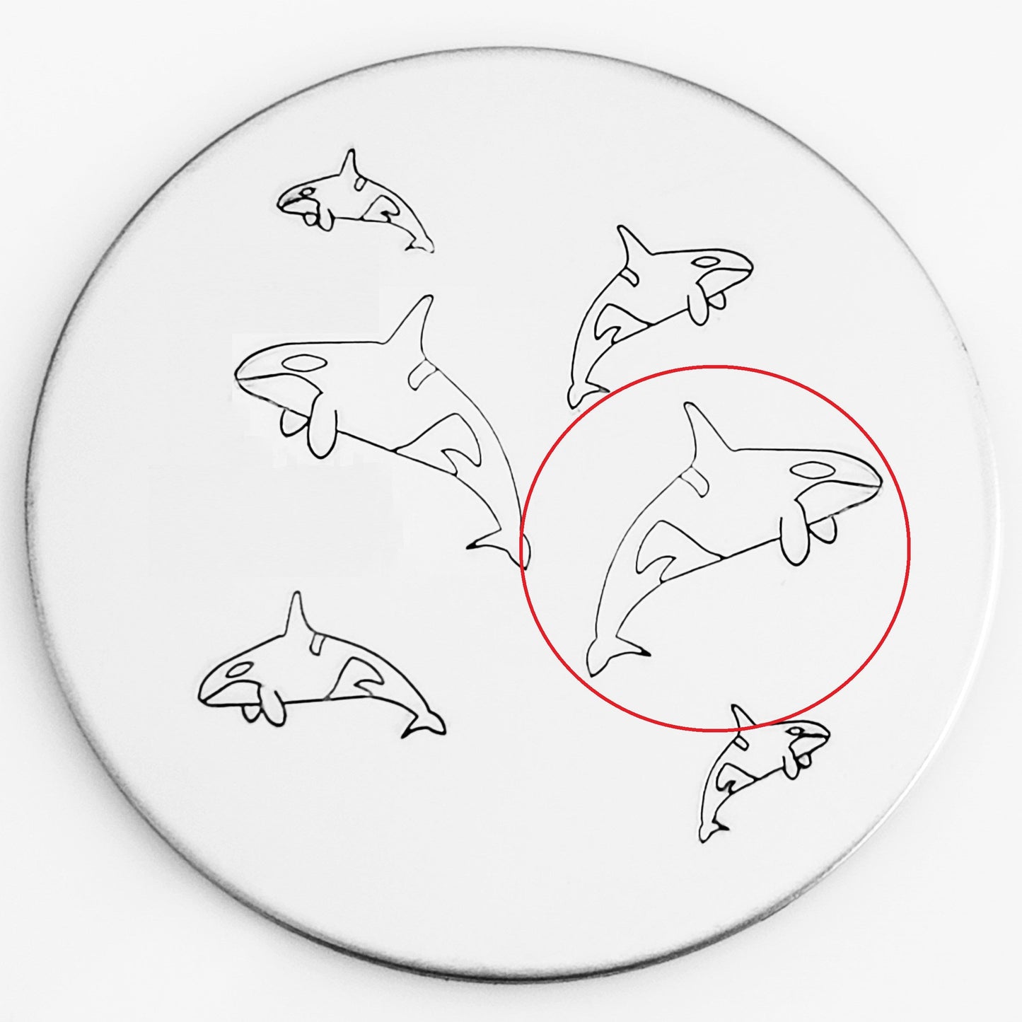 Orca
