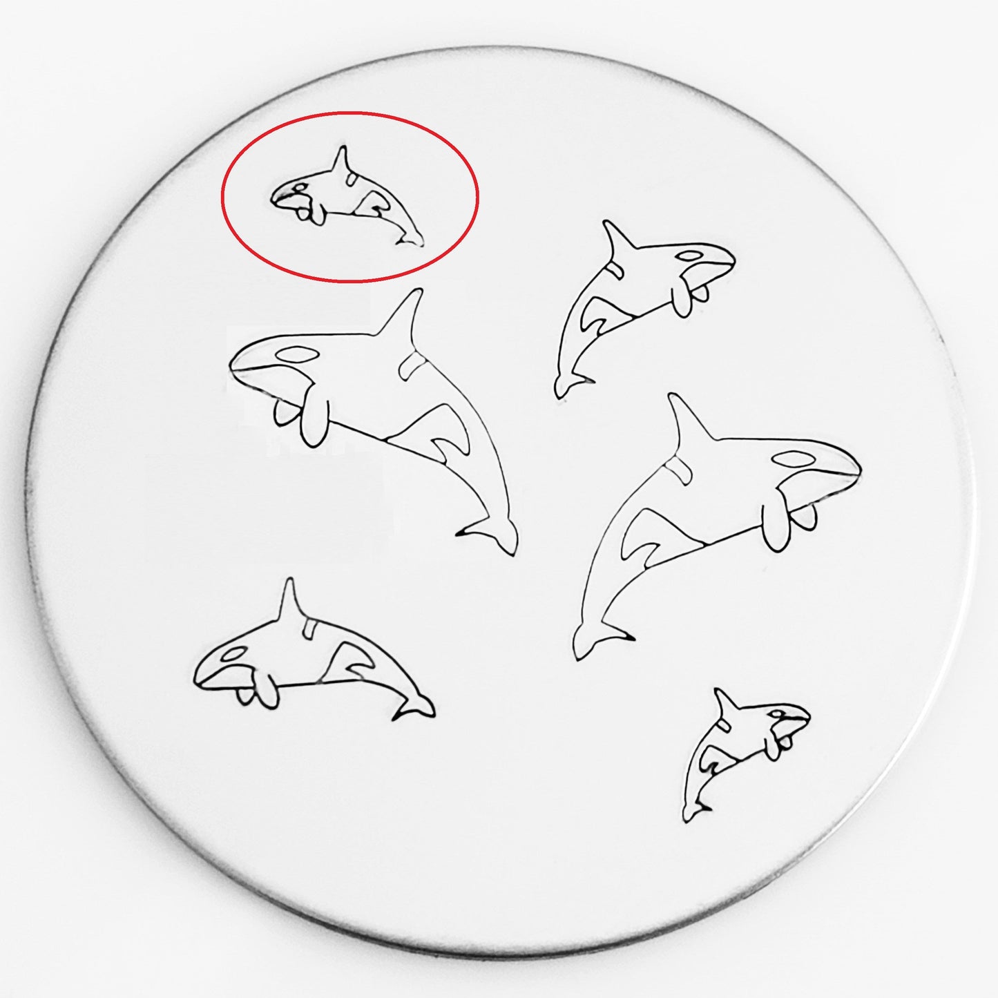 Orca