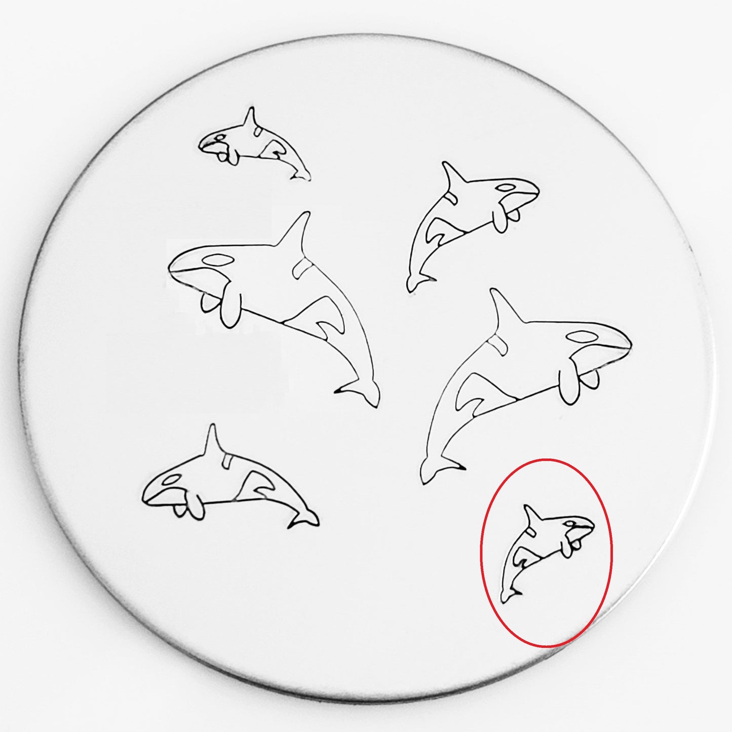 Orca