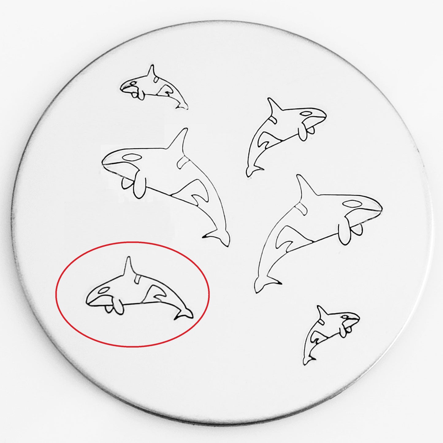 Orca