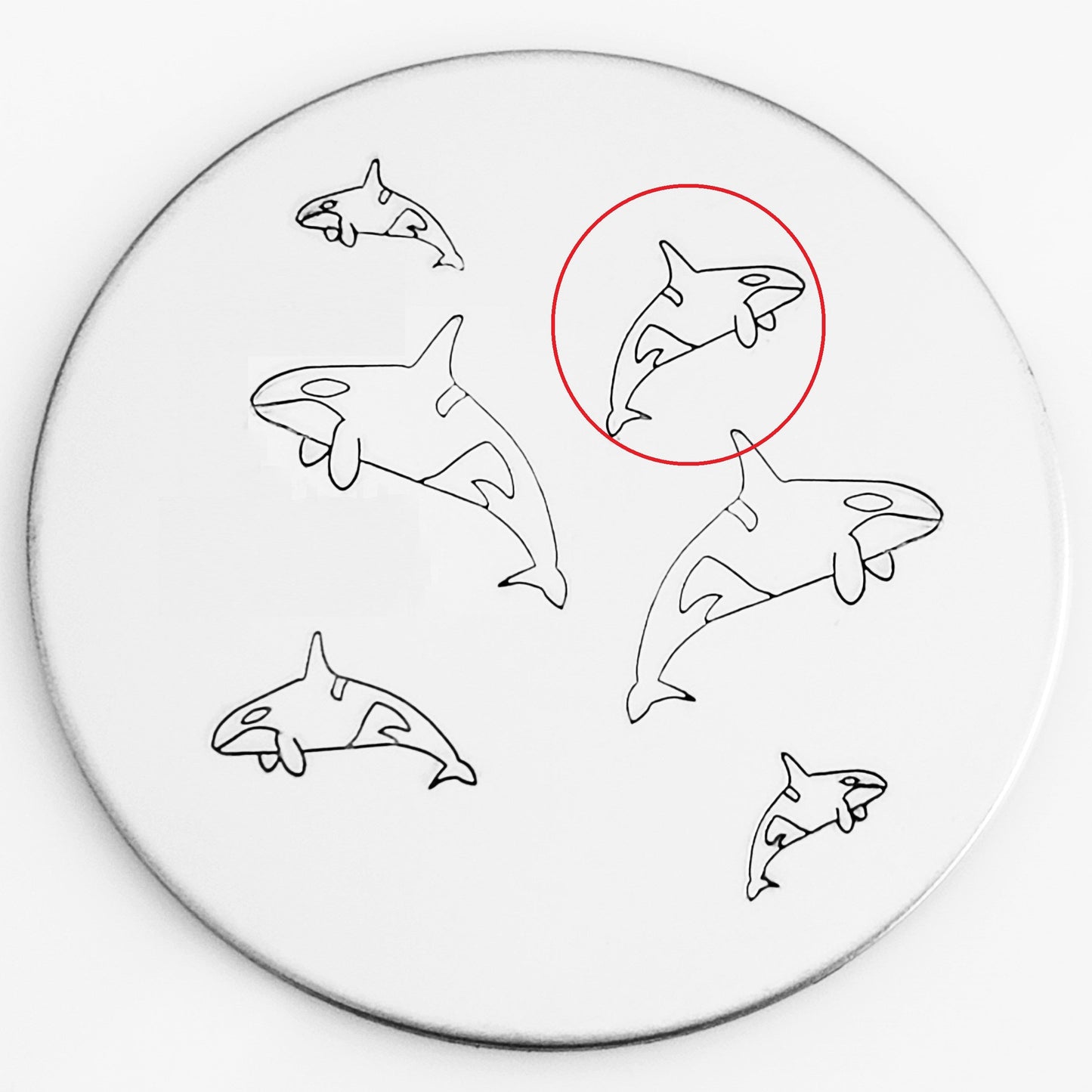 Orca