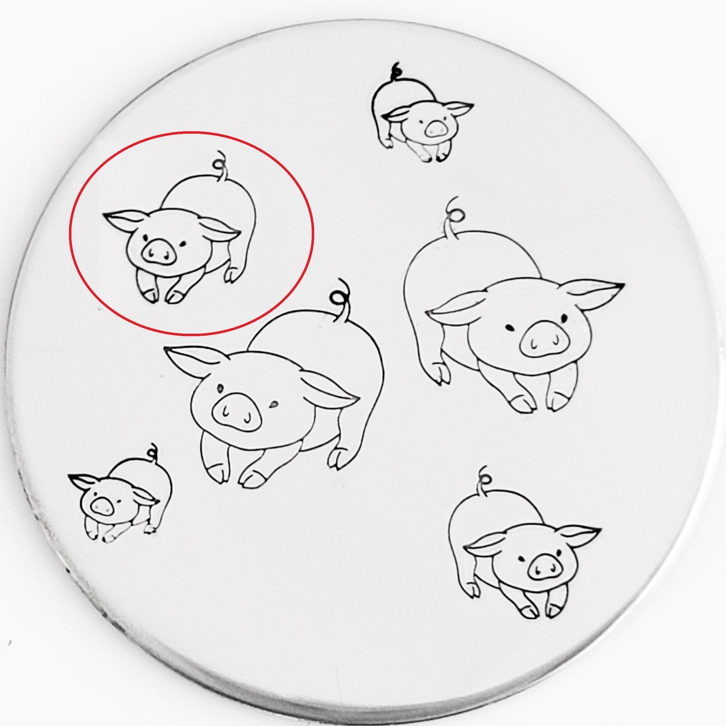 Pigs