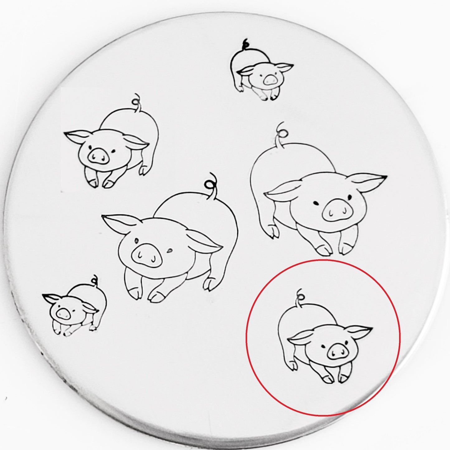 Pigs