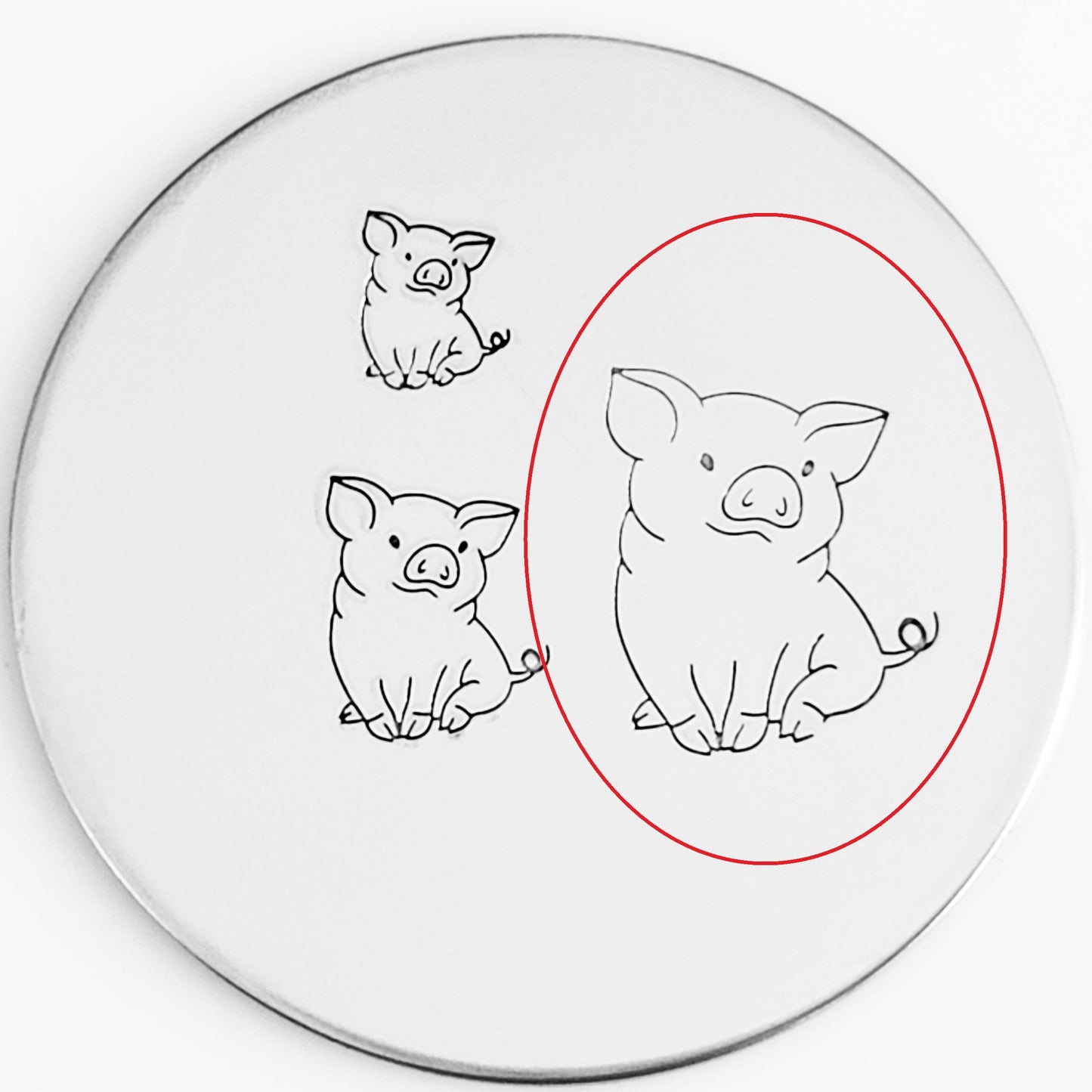 Pigs