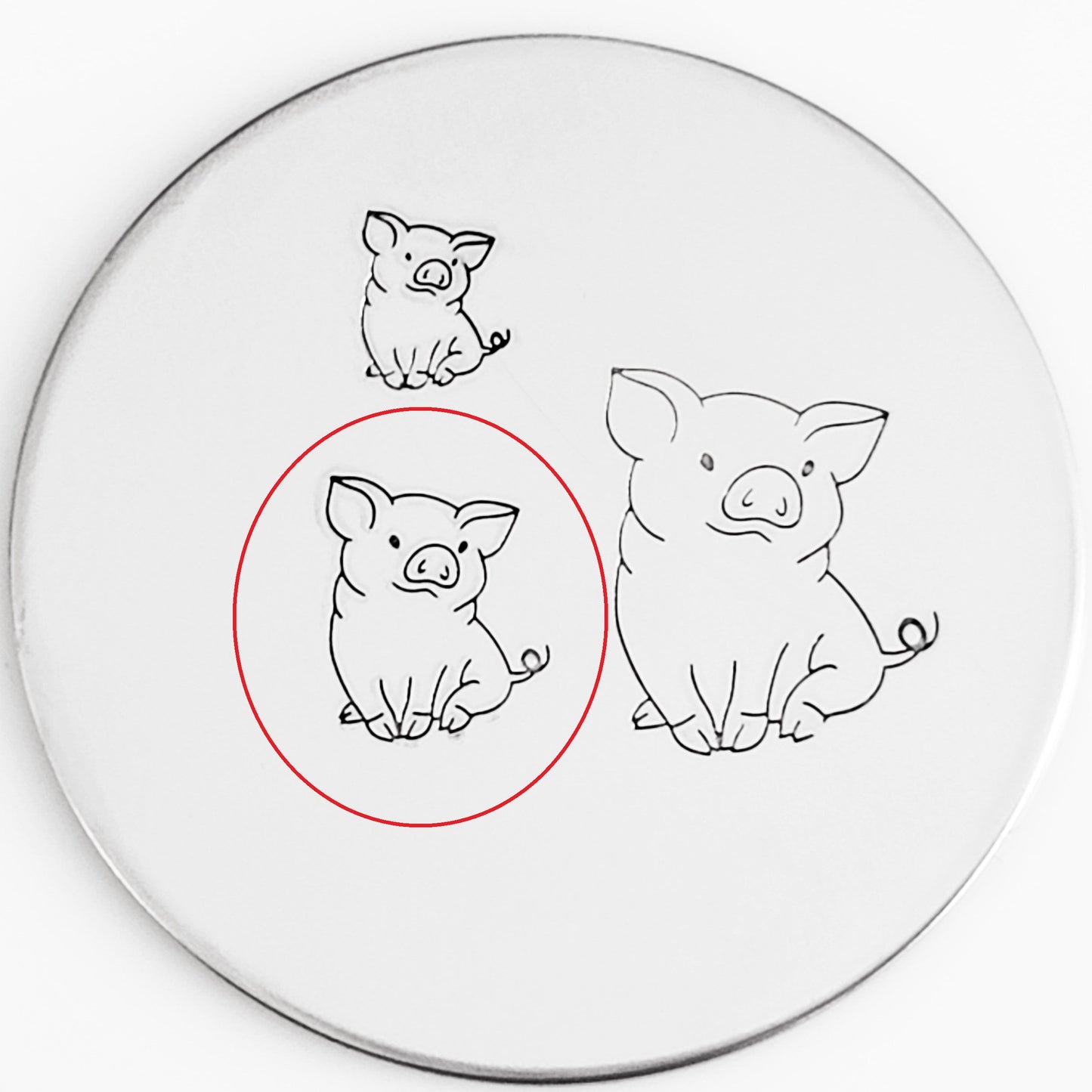 Pigs