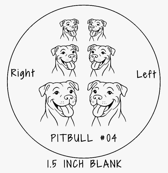 X2621-PITBULL #04-8-R 6of7