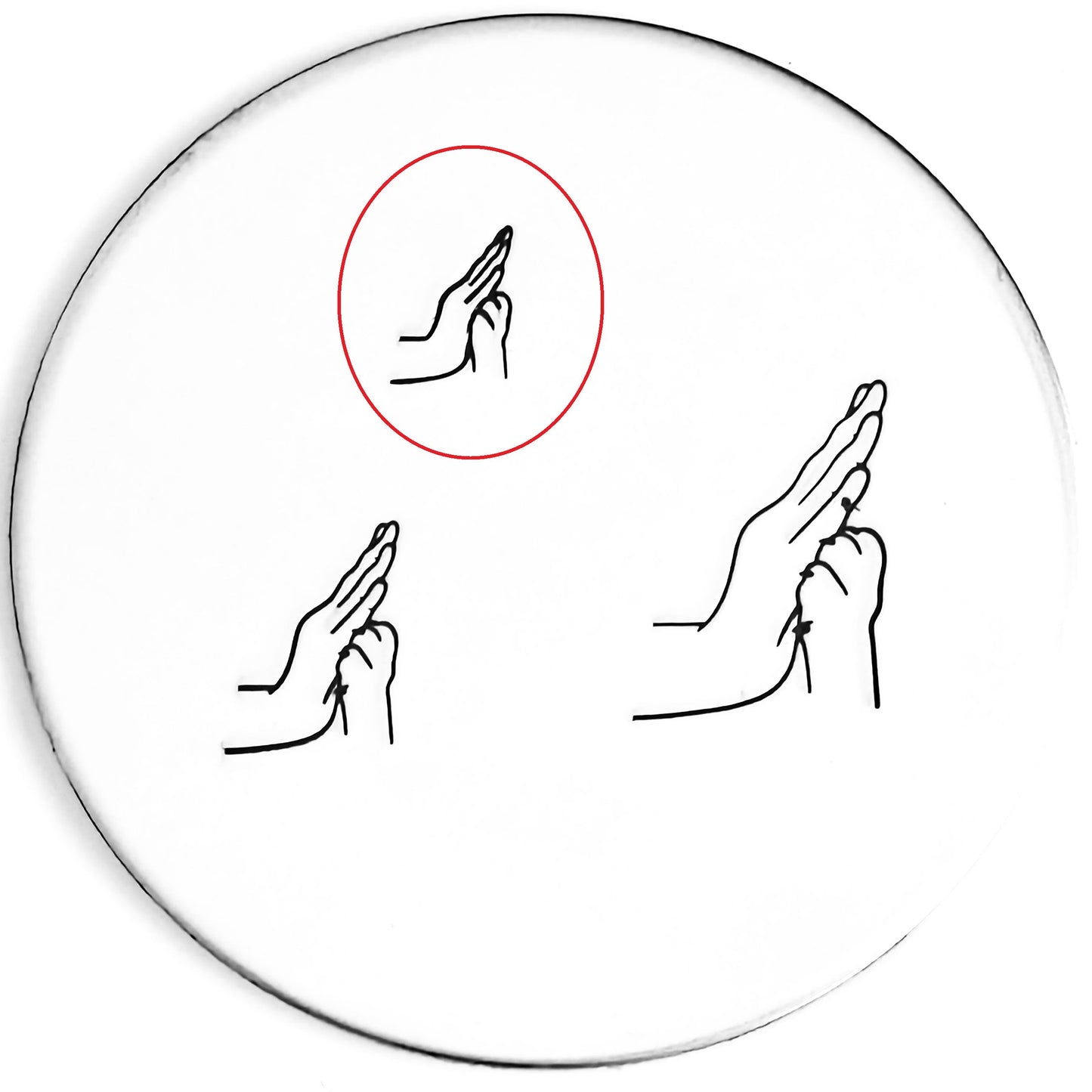 Paw High Five