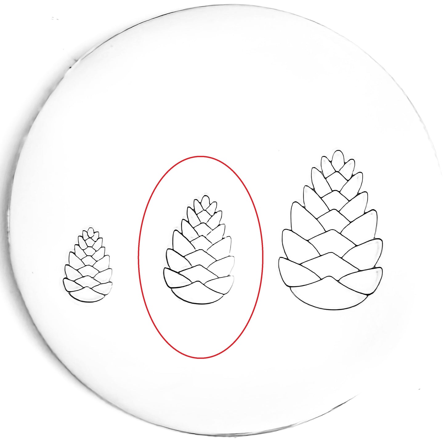 Pinecone #02