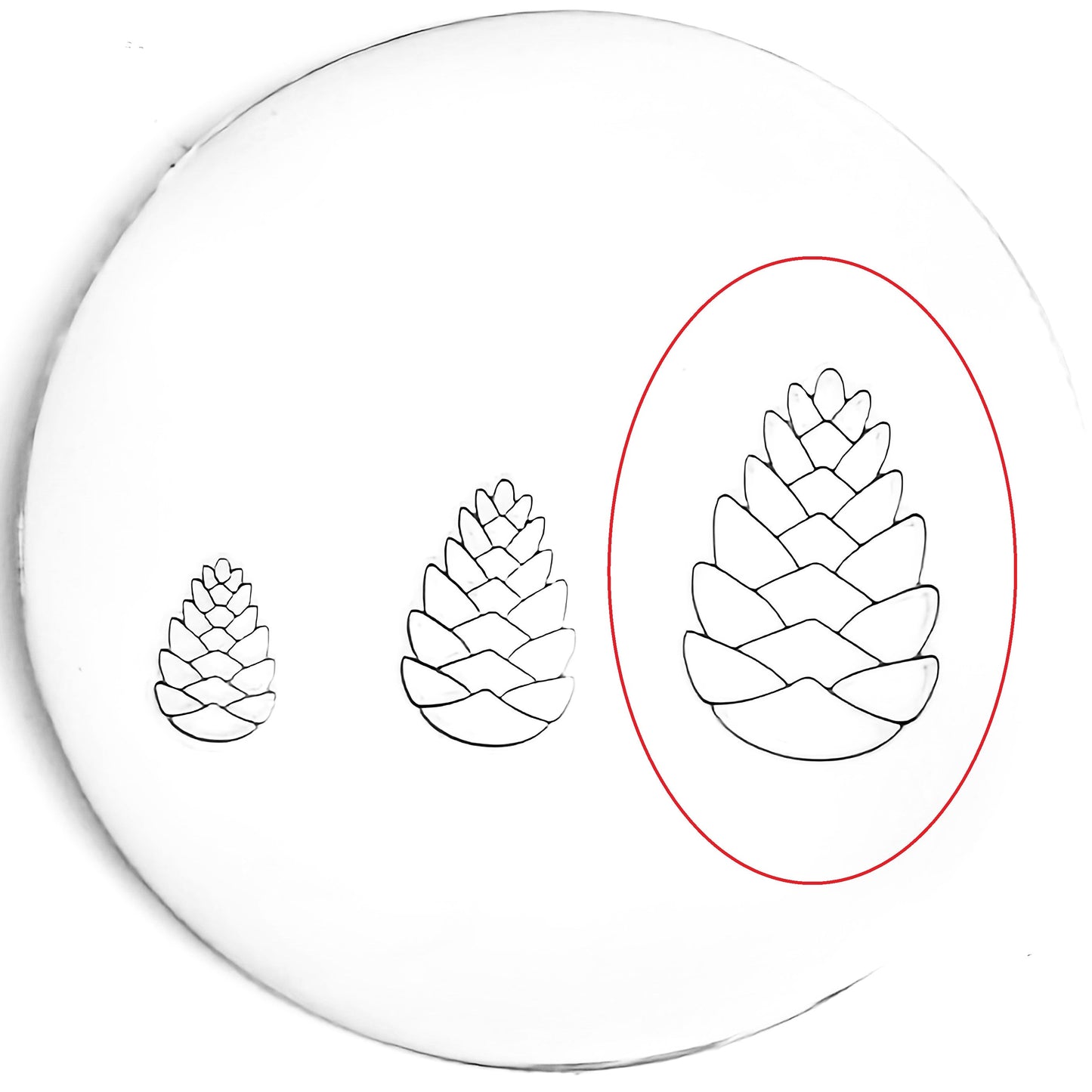 Pinecone #02