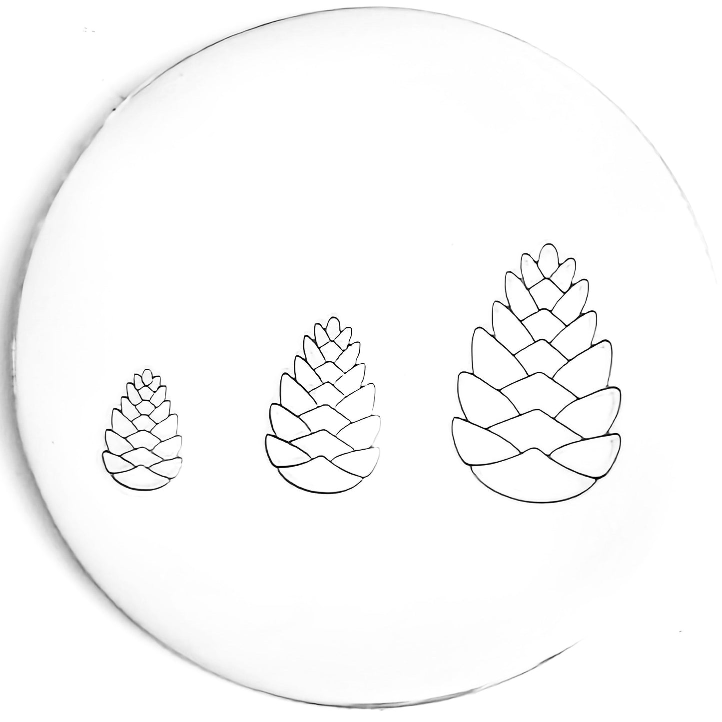 Pinecone #02