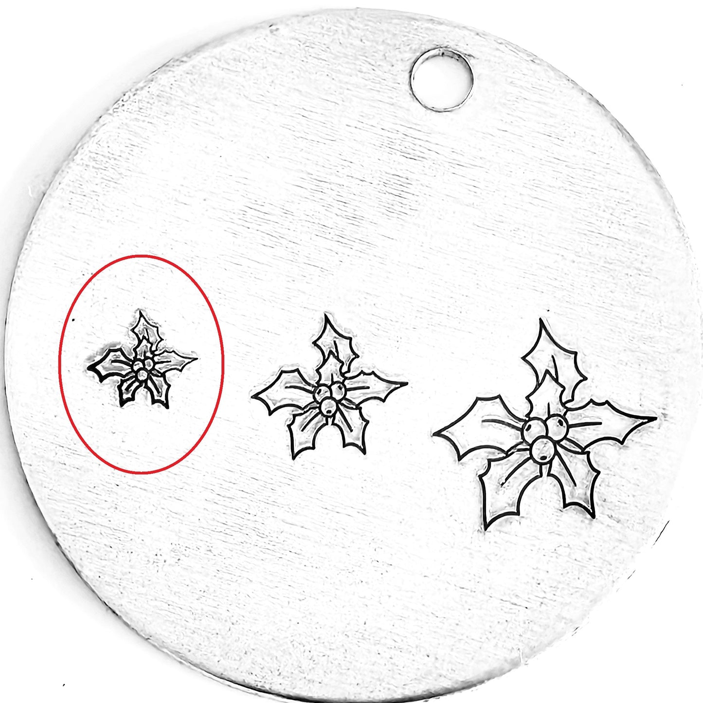 Poinsettia #02