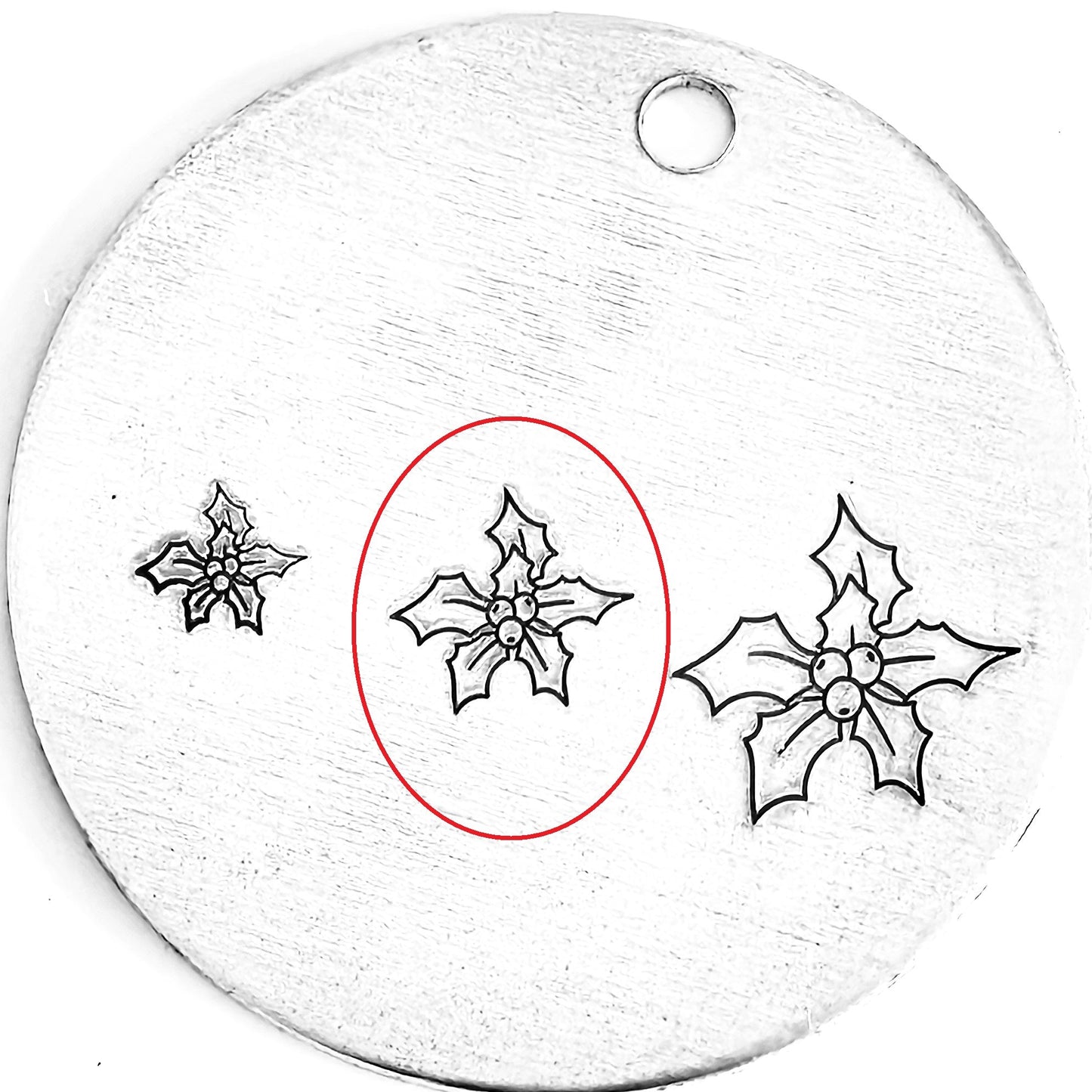 Poinsettia #02