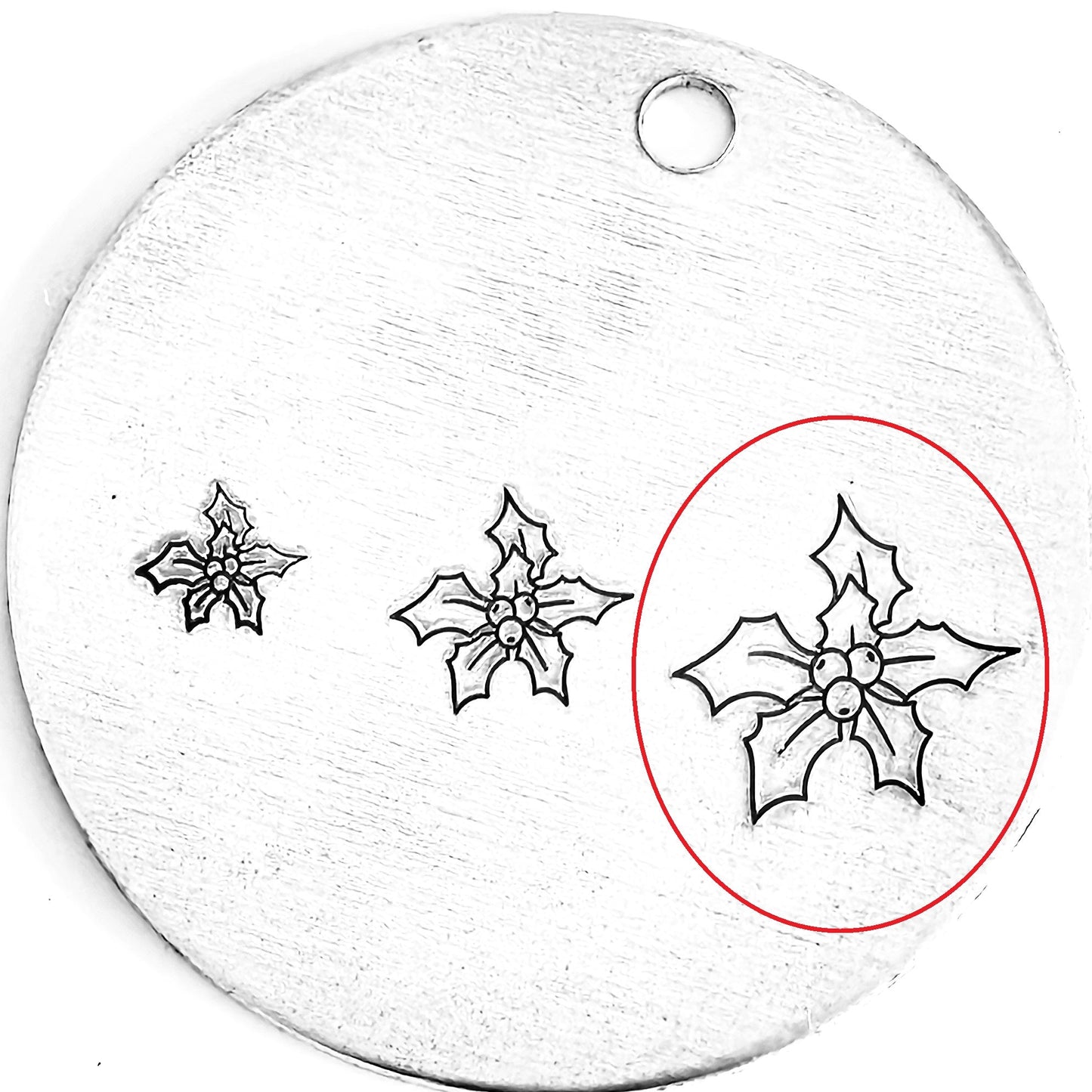 Poinsettia #02