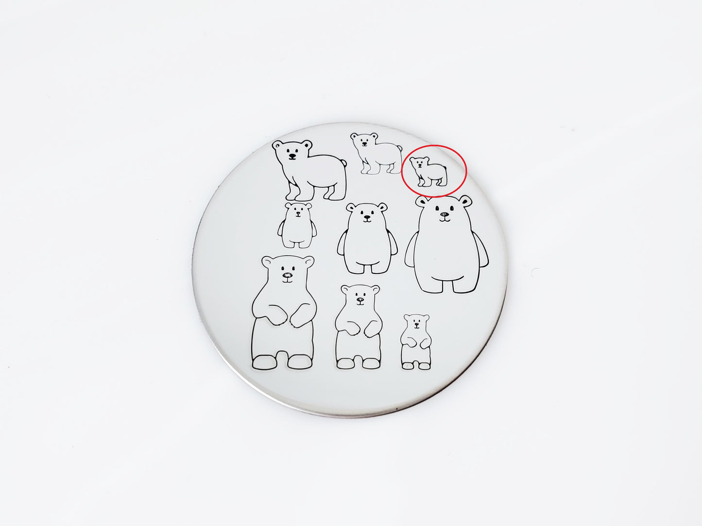 Polar Bears