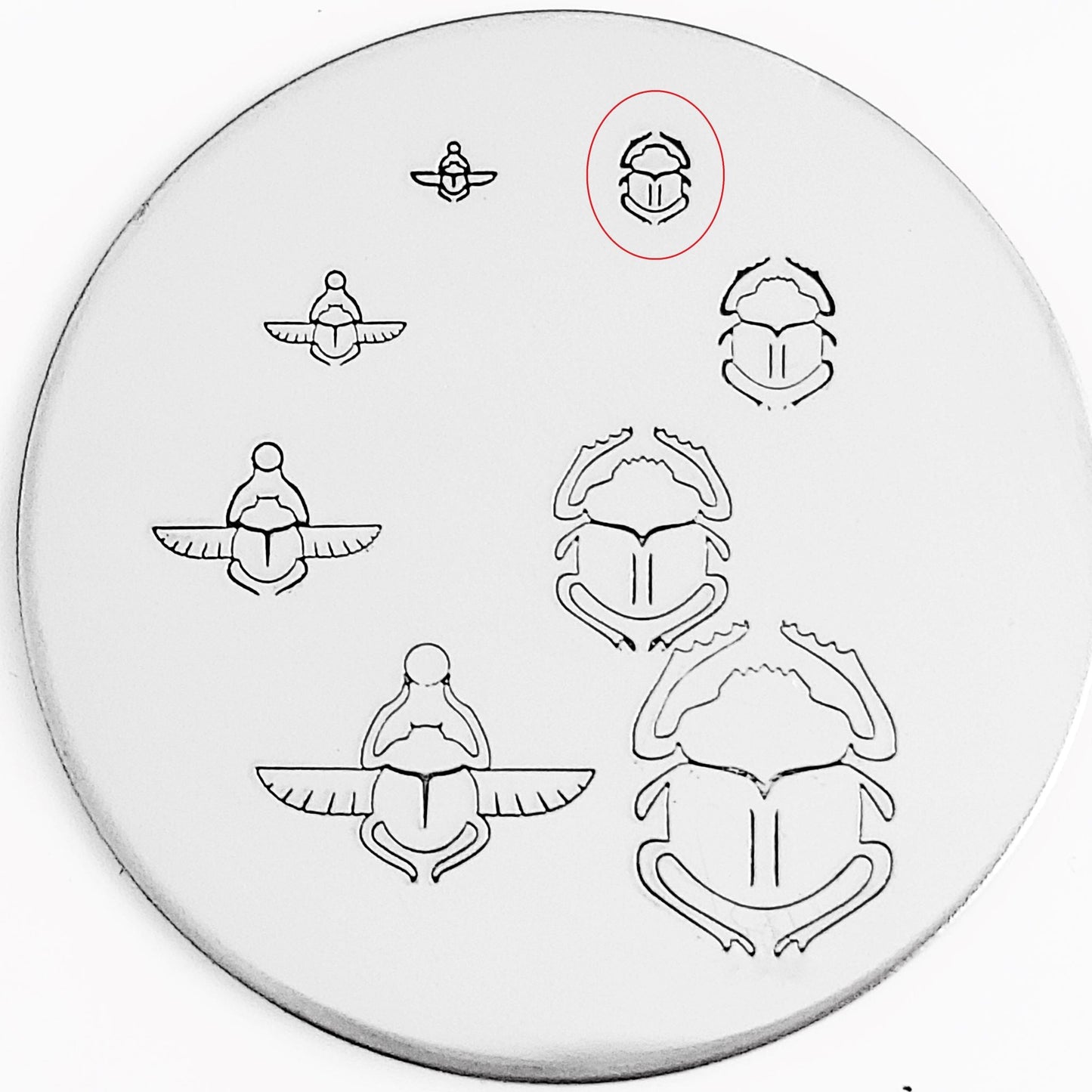 Scarab