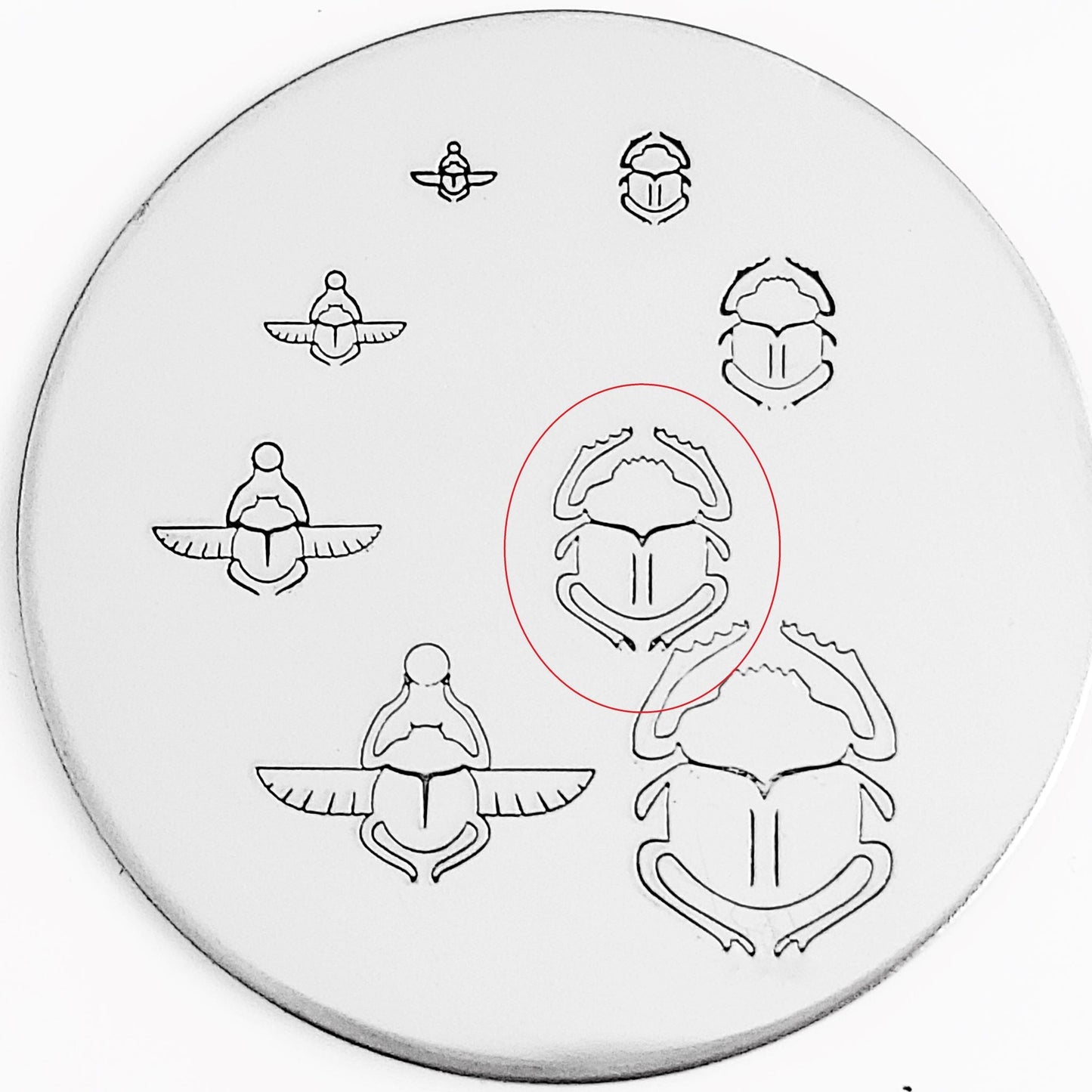 Scarab