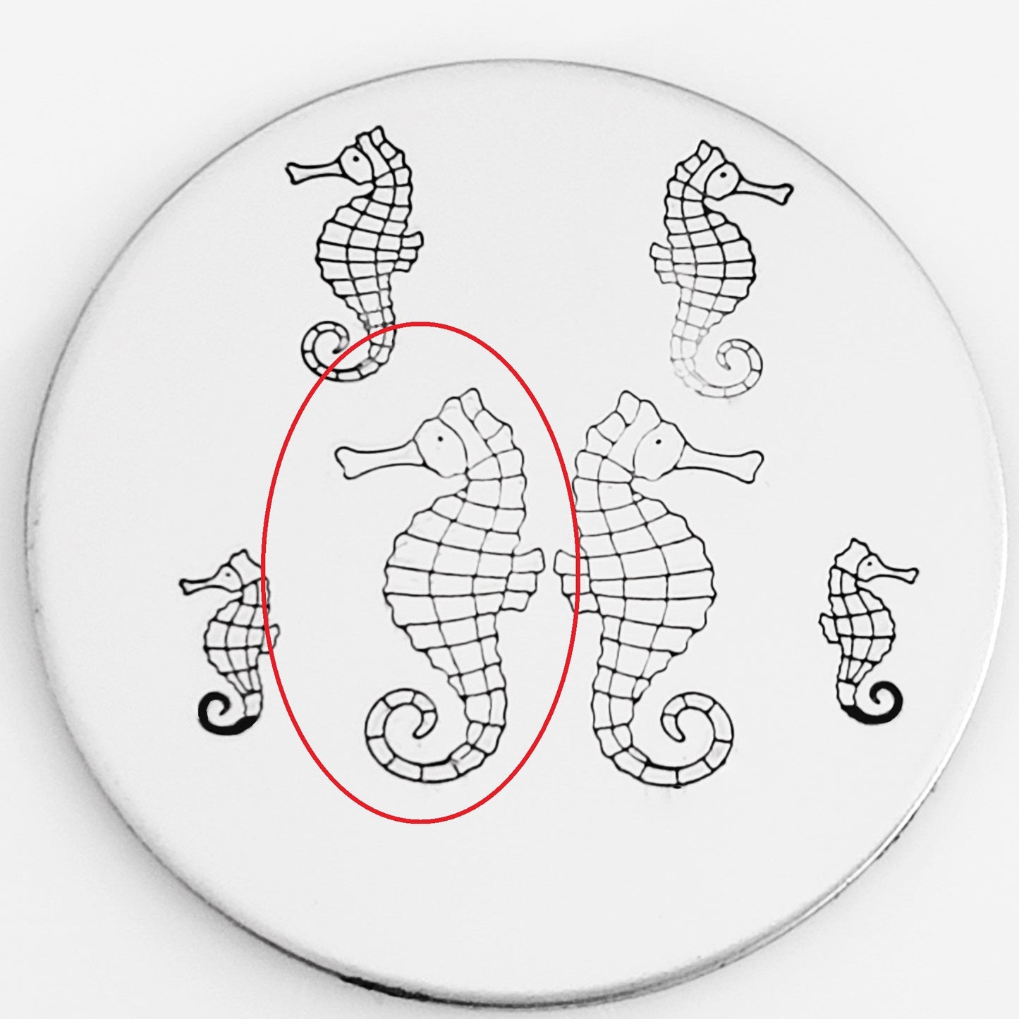 Seahorse