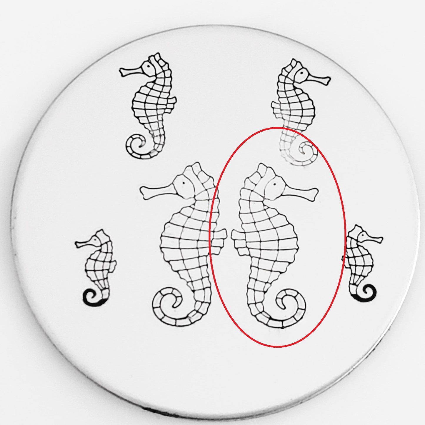 Seahorse