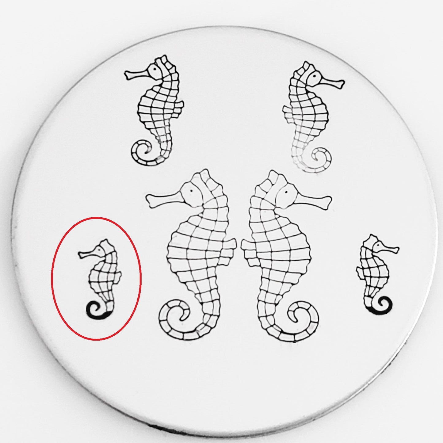 Seahorse