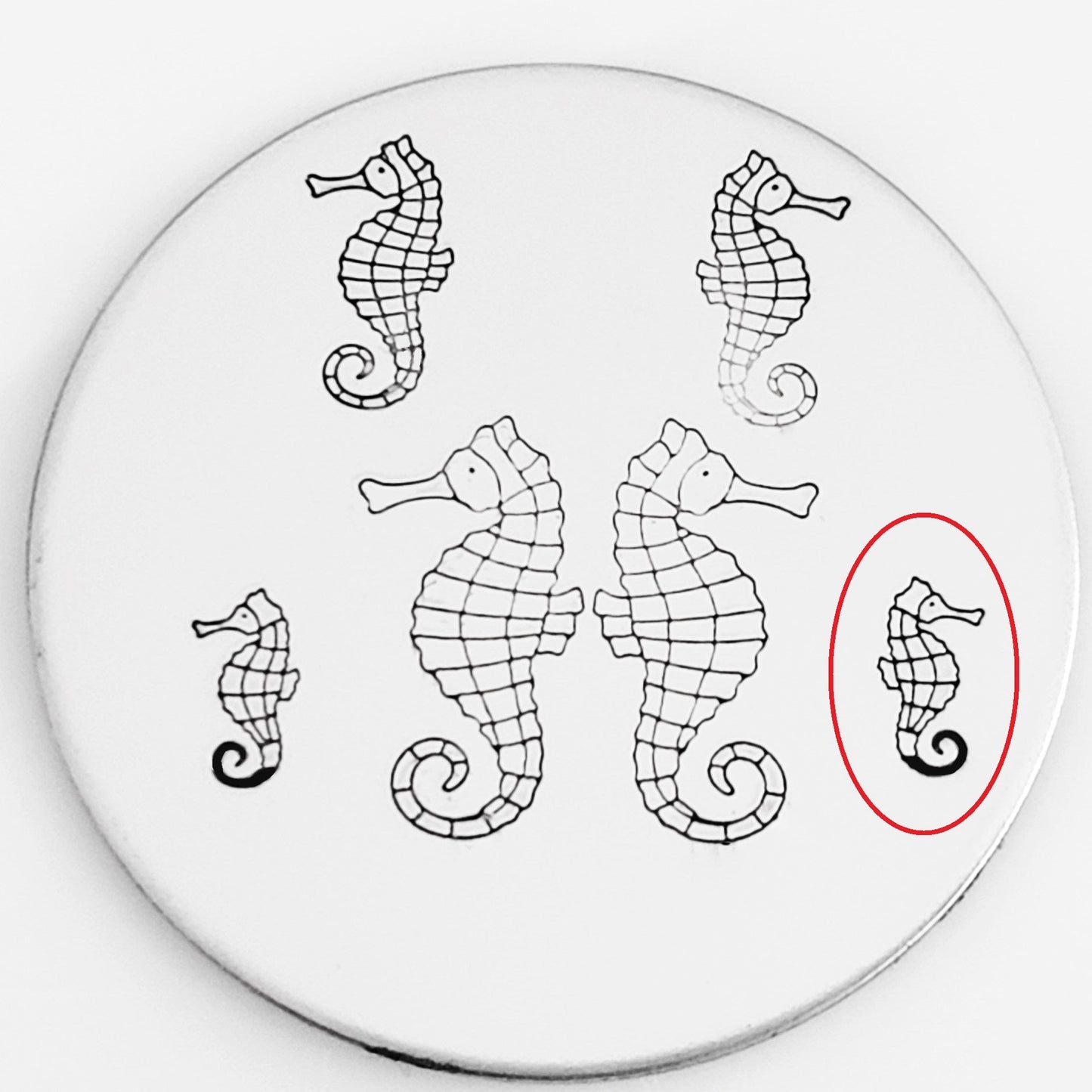 Seahorse
