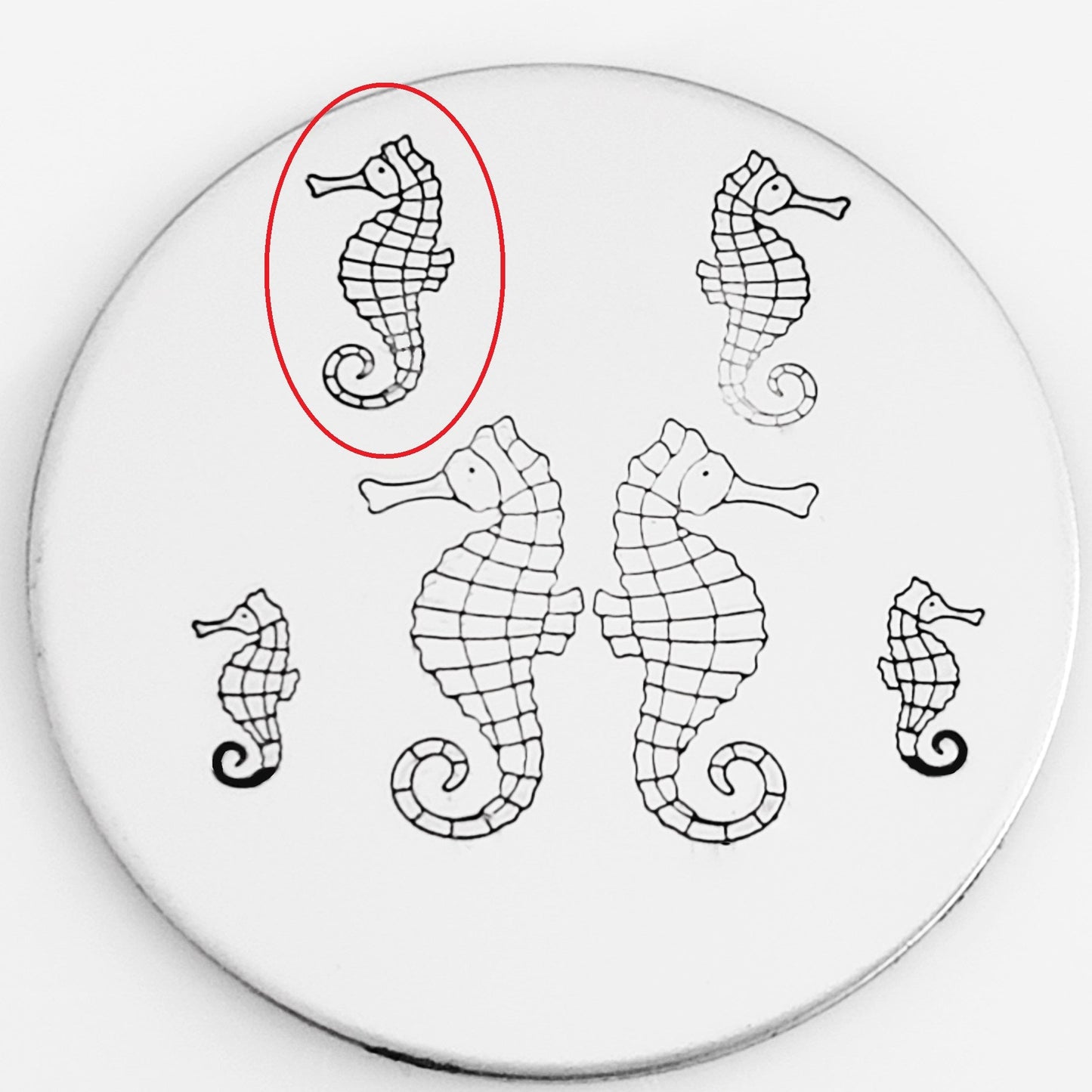 Seahorse