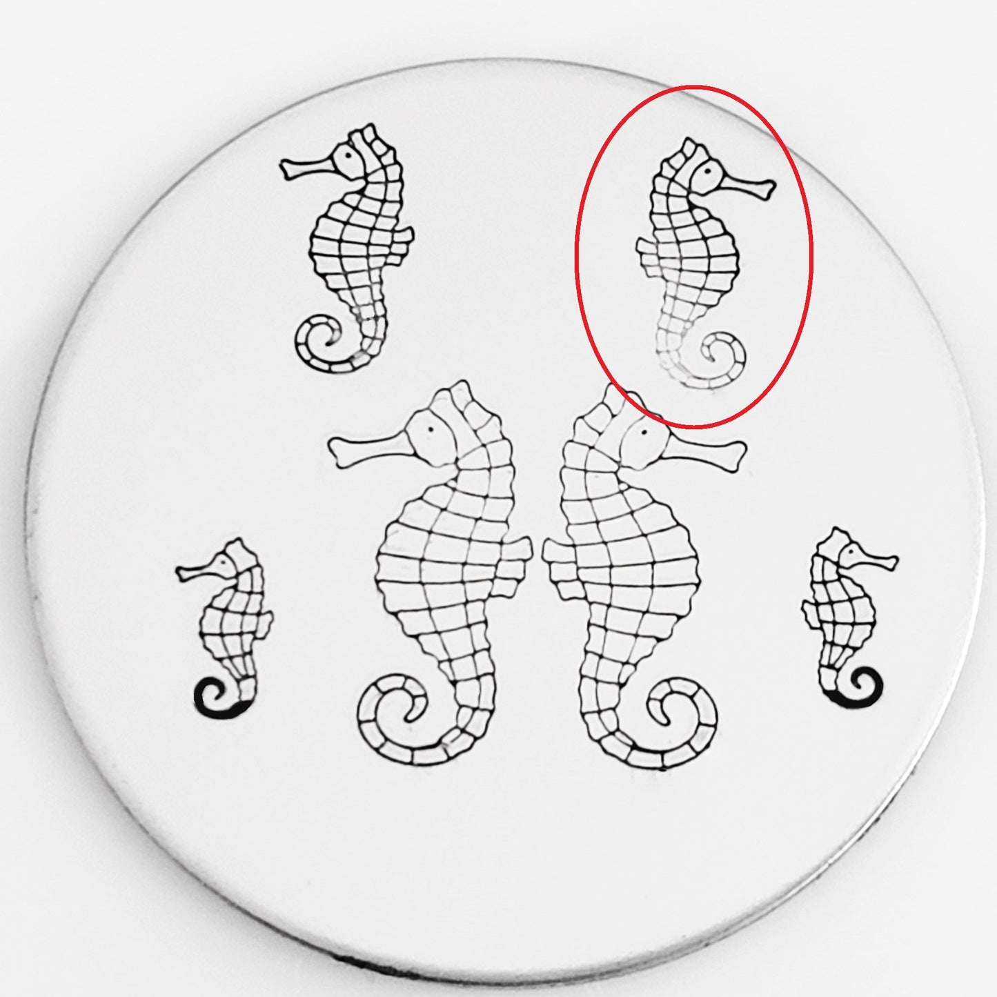 Seahorse