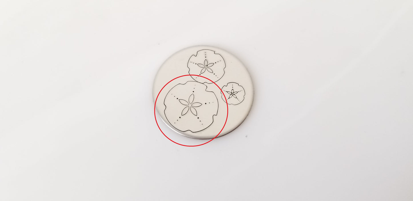 Sand Dollar