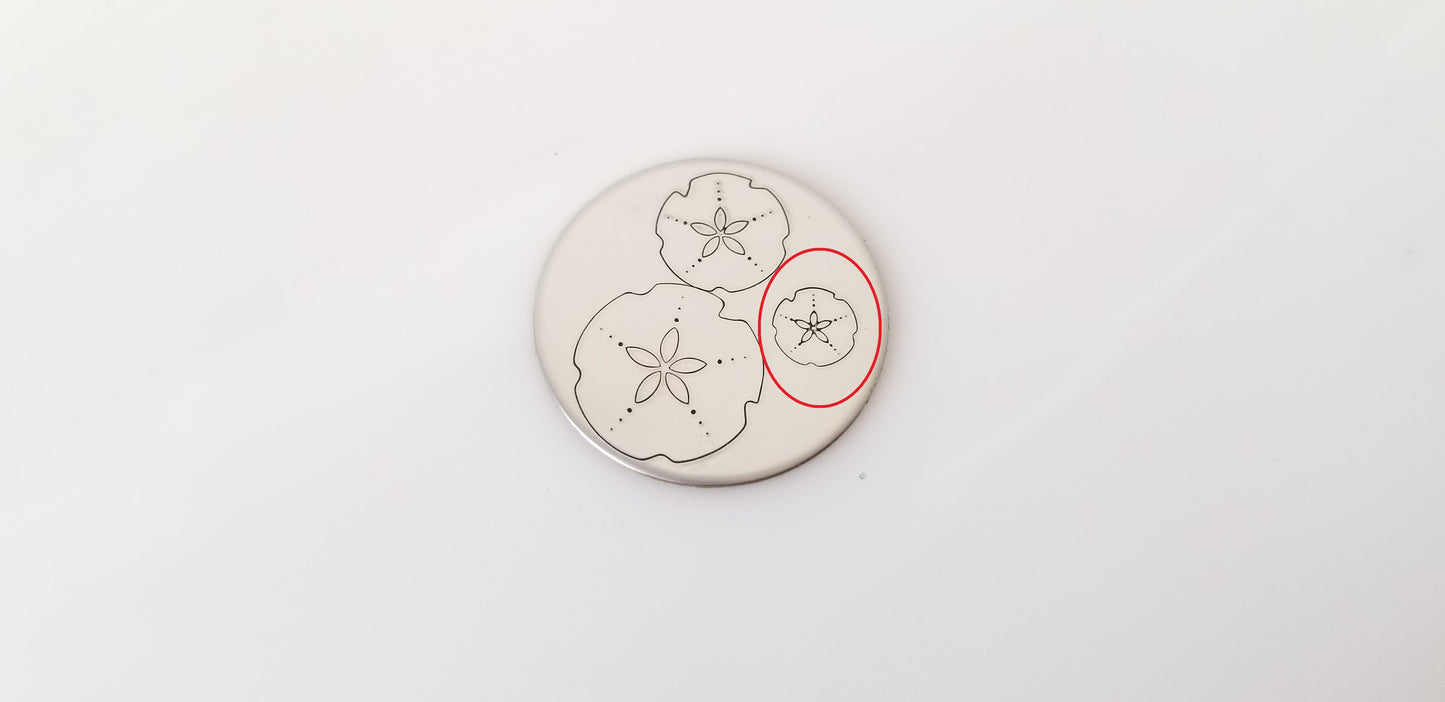 Sand Dollar