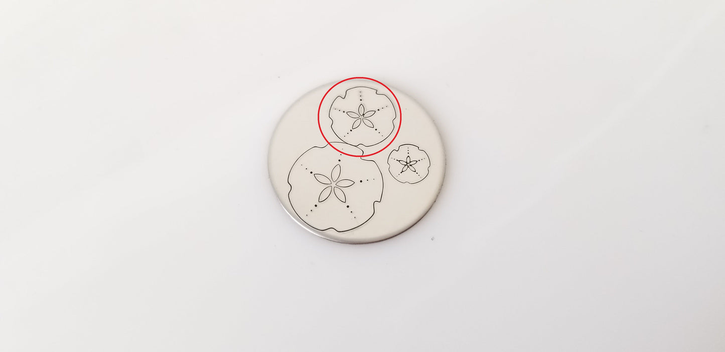 Sand Dollar