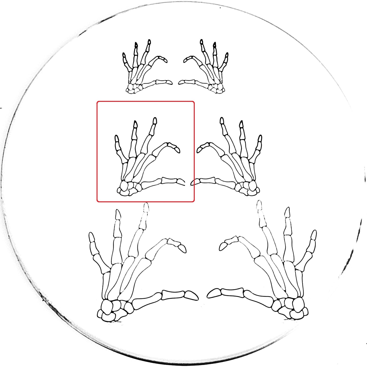 Skeleton Heart Hand