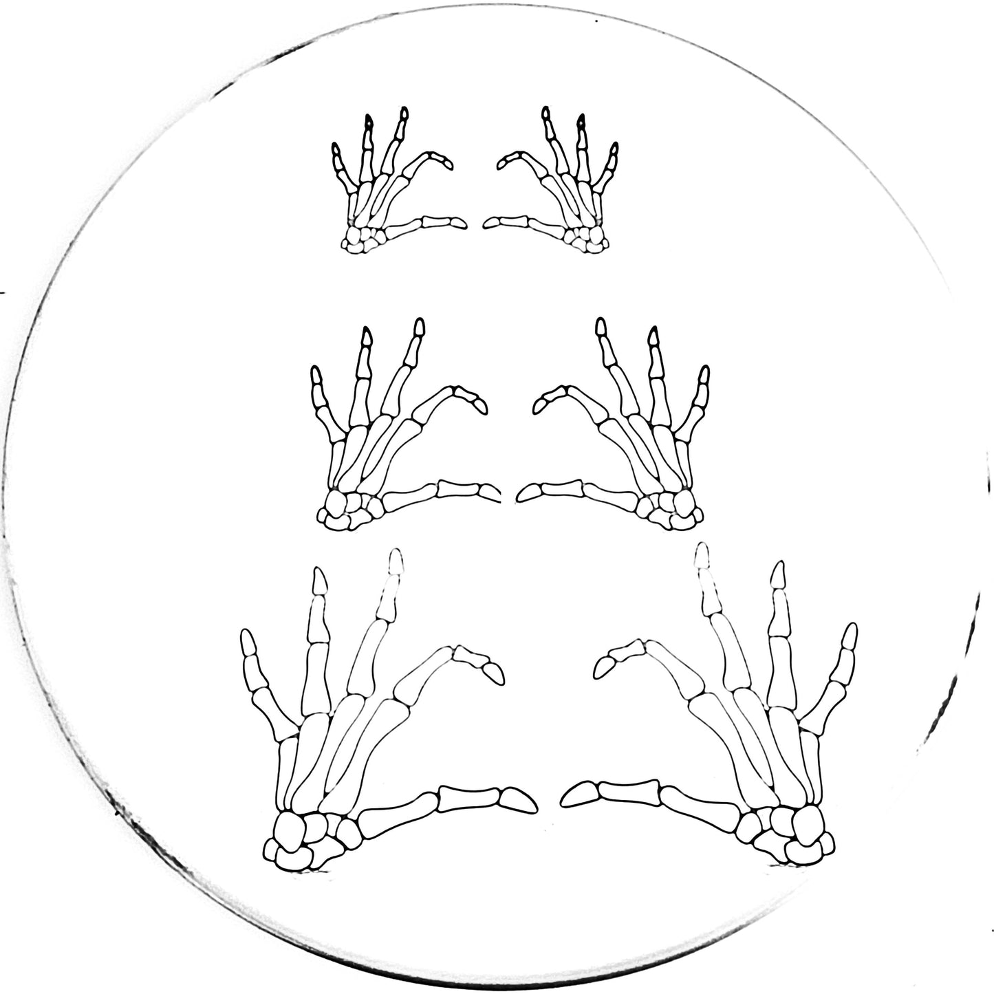 Skeleton Heart Hand