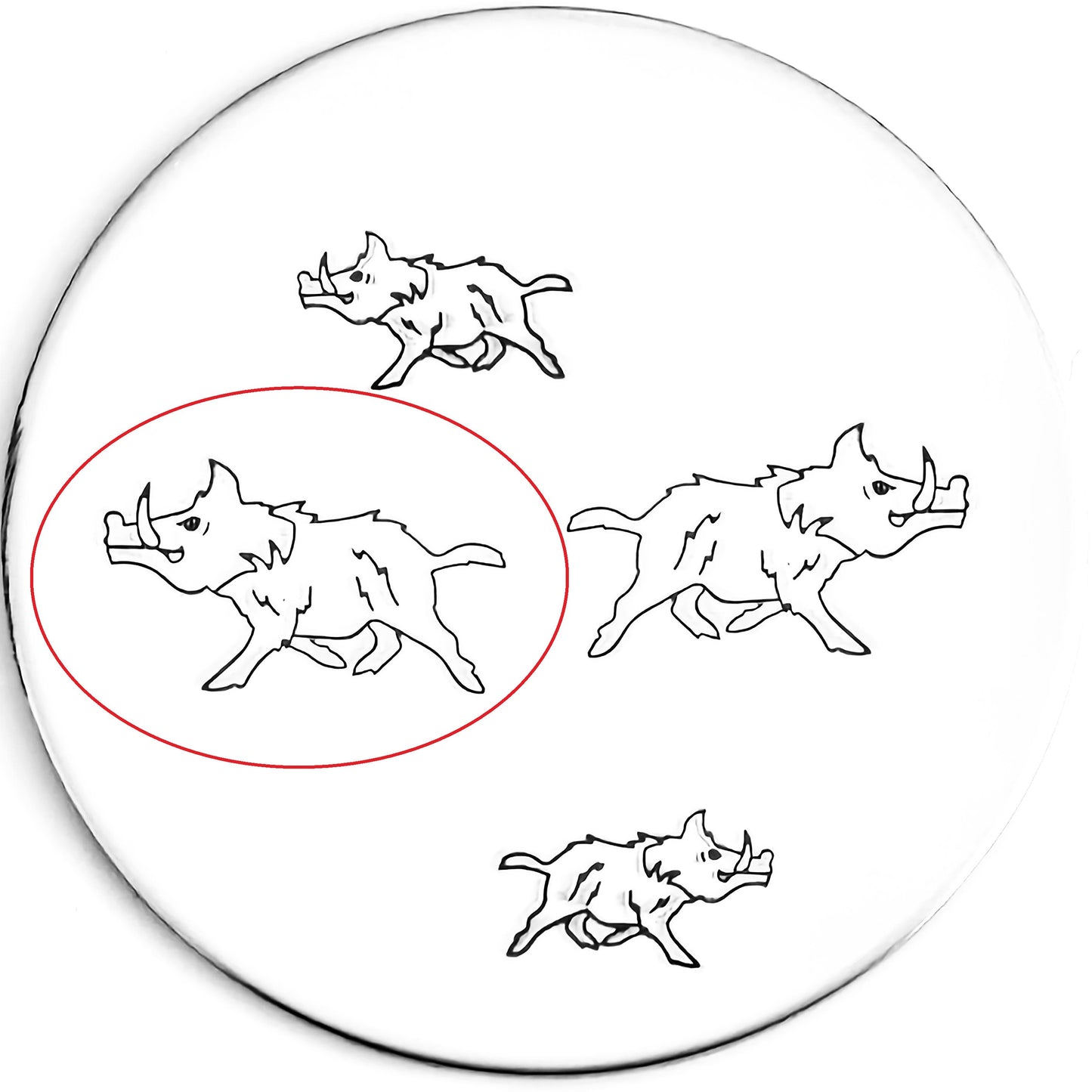 Wild Boar #02
