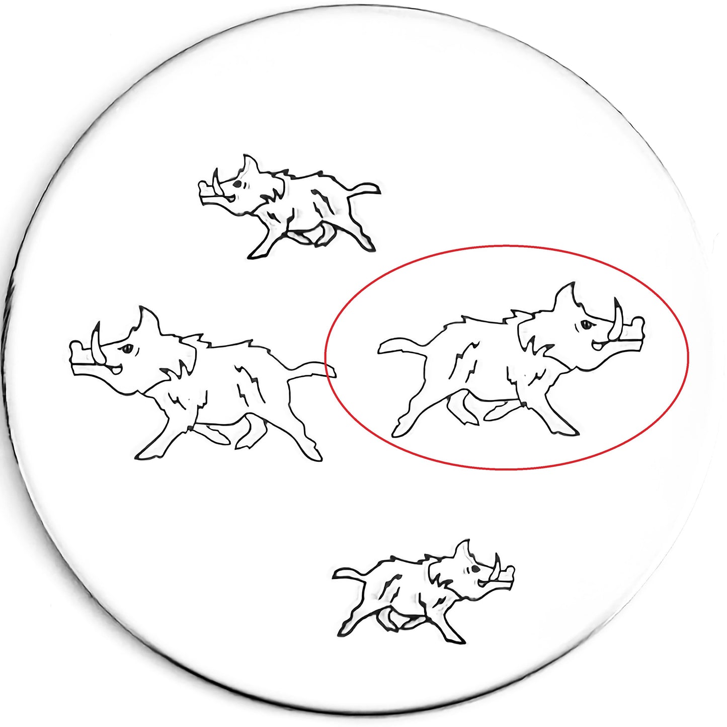 Wild Boar #02