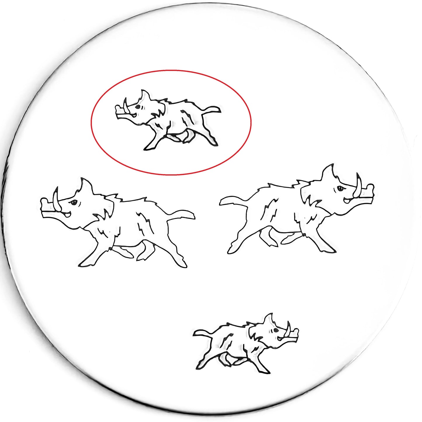Wild Boar #02