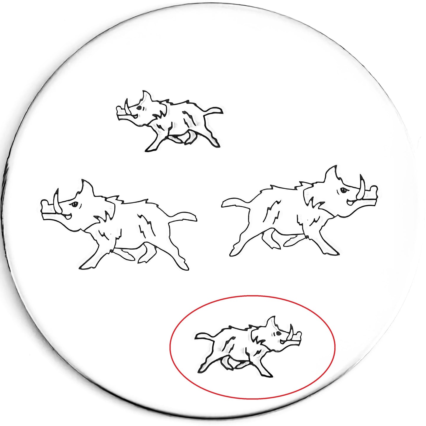 Wild Boar #02
