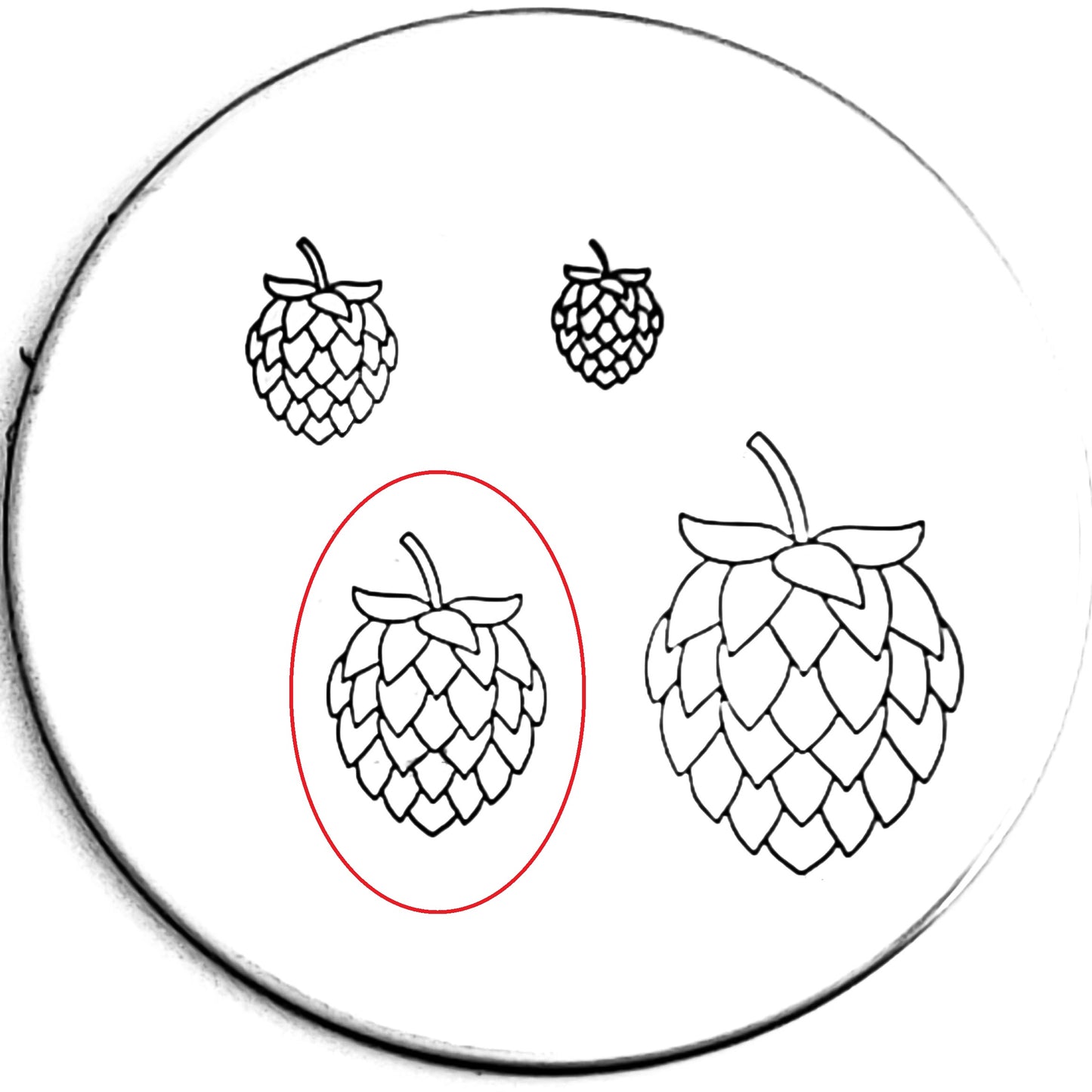 Beer Hop